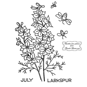 larkspur embroidery pattern