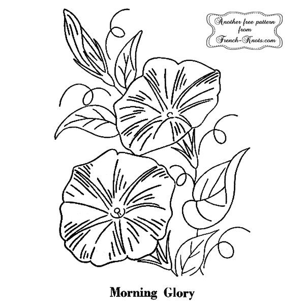 morning glory flower embroidery pattern