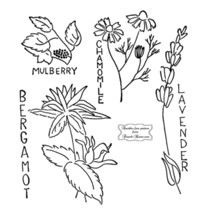 herbs - embroidery patterns