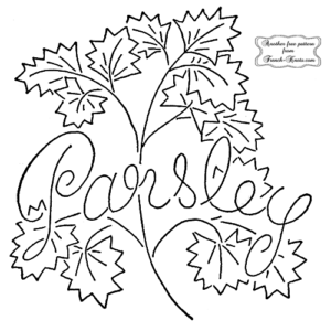 parsley herb embroidery pattern