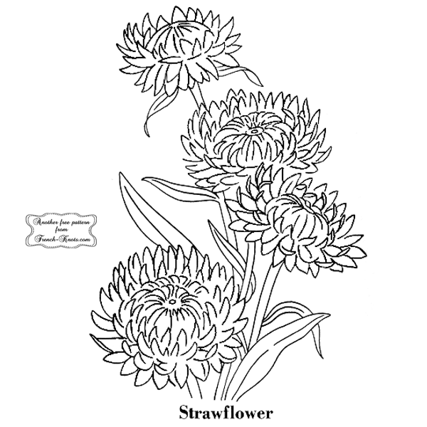 strawflower embroidery pattern