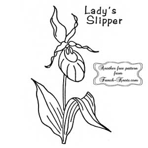 ladys slipper flowers